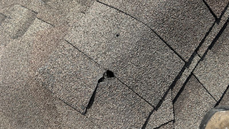 Damaged Roof Repair in Cheshire, CT
